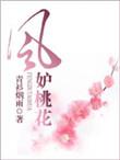 风渡桃花短剧免费播放