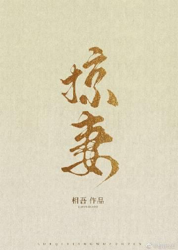 掠妻by相吾txt