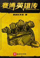 赛博英雄传精校版