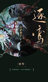 逐鸾讲的什么内容
